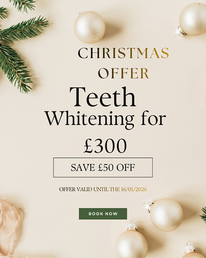 christmas offer